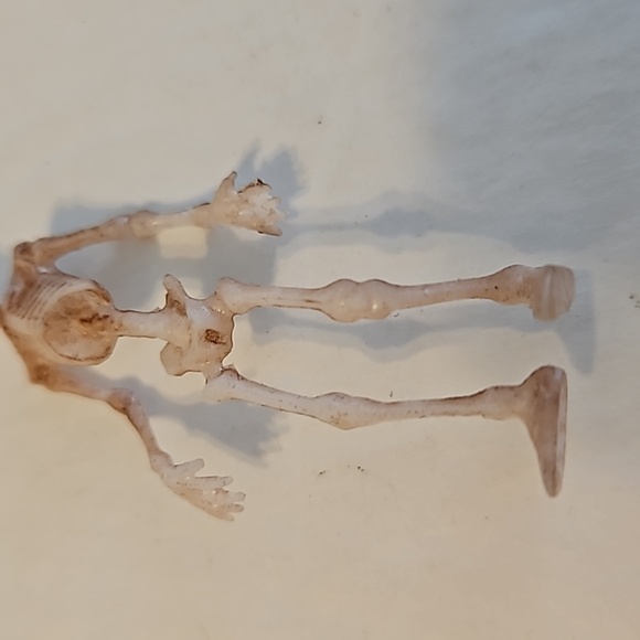 Skeleton Handmade Pierced Earrings - Picture 3 of 5